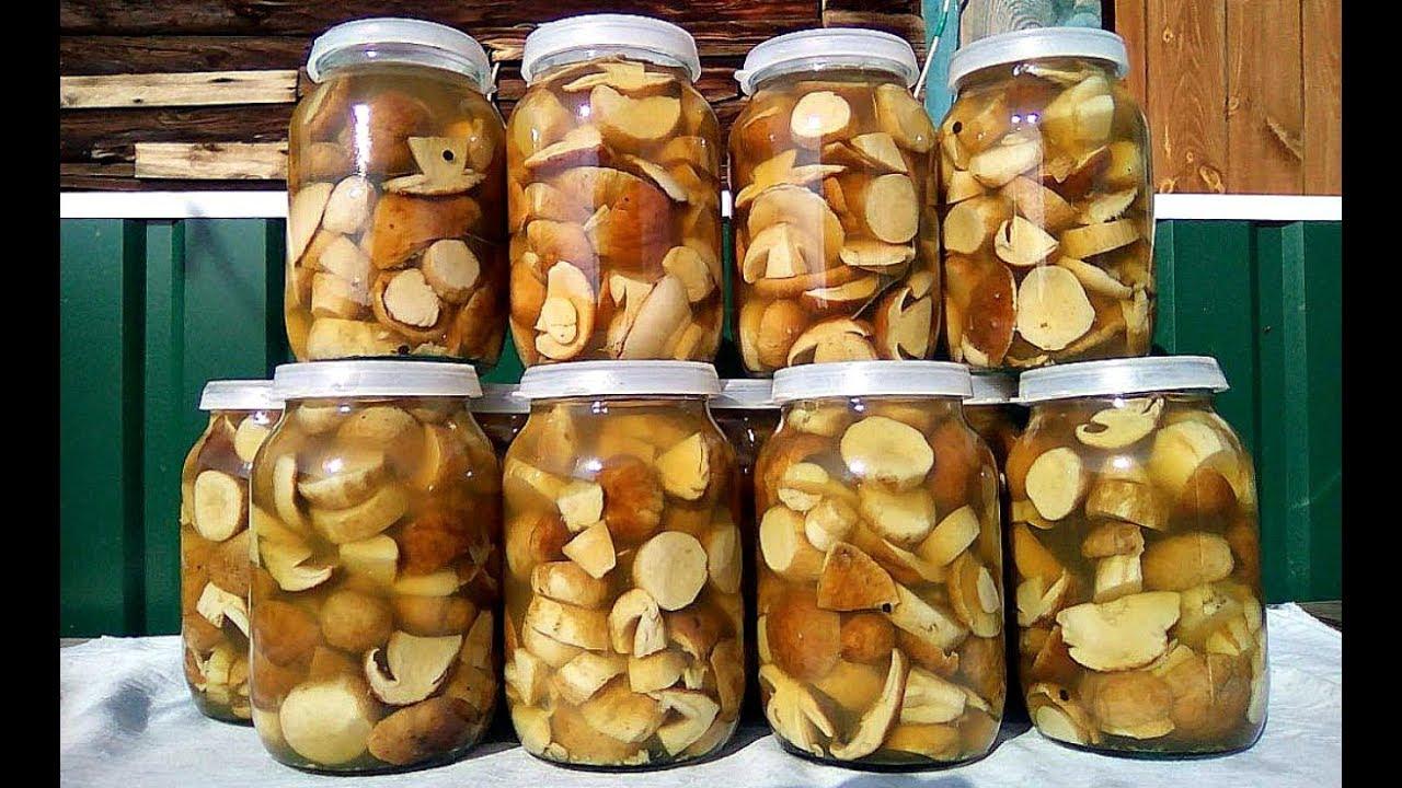 Боровики на зиму – солим грибы в банки для хранения