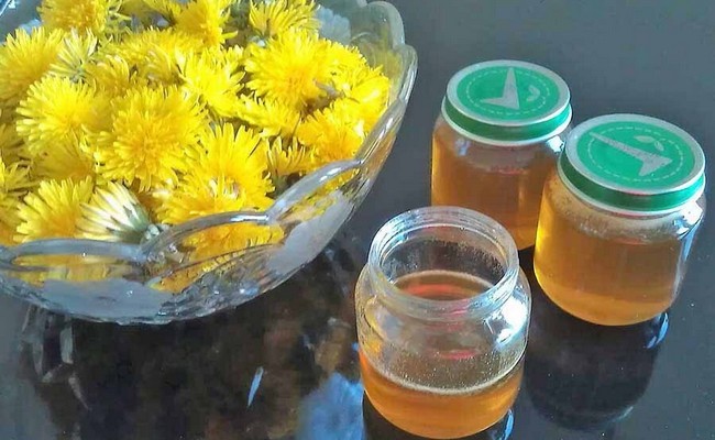 Мёд из одуванчиков в домашних условиях