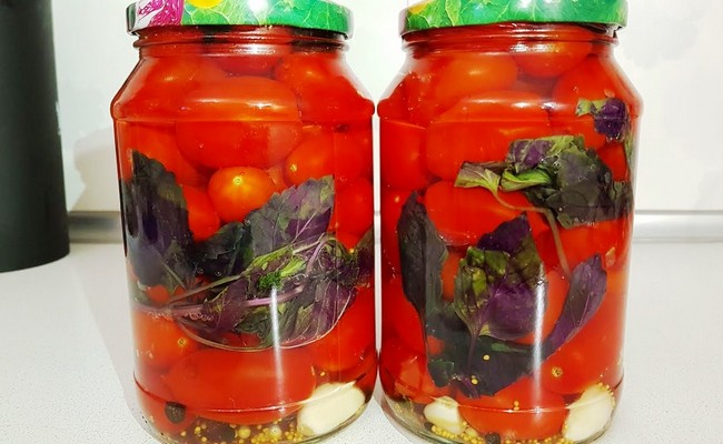 Маринованные помидоры с базиликом – 4 лучших рецепта без стерилизации на зиму в банках